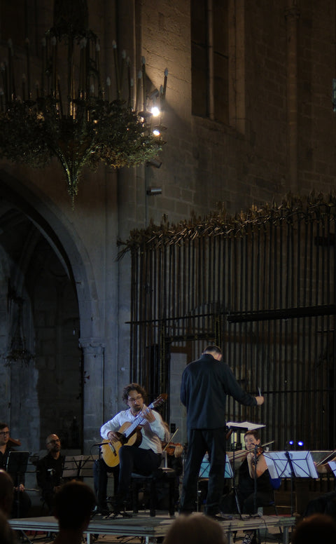 The Aranjuez Concerto
